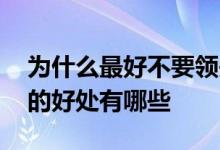 为什么最好不要领失业补助金 失业金不领取的好处有哪些 