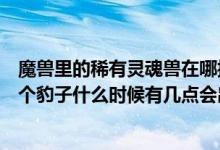 魔兽里的稀有灵魂兽在哪抓（魔兽世界索拉查盆地灵魂兽那个豹子什么时候有几点会出现啊）