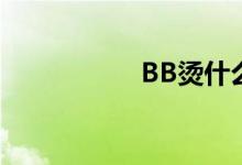  BB烫什么牌子炖的快 