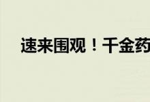 速来围观！千金药业股票表现怎么样（）