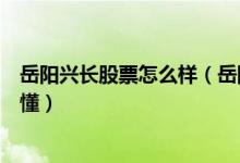 岳阳兴长股票怎么样（岳阳兴长盈利能力分析三分钟教你看懂）