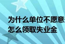 为什么单位不愿意开失业证明 个人原因辞职怎么领取失业金 