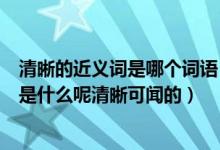 清晰的近义词是哪个词语（清晰近义词是什么清晰的近义词是什么呢清晰可闻的）