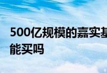 500亿规模的嘉实基金 基金大于500亿的规模能买吗