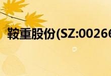 鞍重股份(SZ:002667)股票今日价格是多少