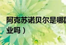 阿克苏诺贝尔是哪国的公司（是世界500强企业吗）