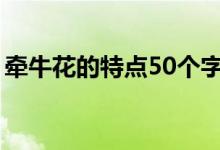 牵牛花的特点50个字（牵牛花的特点和品质）