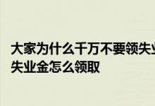 大家为什么千万不要领失业金 失业保险金一个月能领多少钱失业金怎么领取 