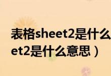 表格sheet2是什么意思（excel有sheet1sheet2是什么意思）