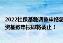 2022社保基数调整申报怎么操作 2022年度社会保险缴费工资基数申报即将截止！