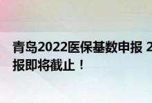 青岛2022医保基数申报 2022年度社会保险缴费工资基数申报即将截止！