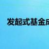 发起式基金成立条件 发起式基金成立条件