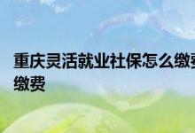 重庆灵活就业社保怎么缴费 重庆网上灵活就业养老保险怎么缴费