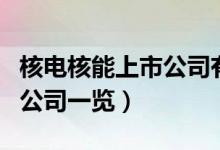 核电核能上市公司有哪些（核电核能受益上市公司一览）