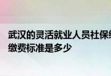 武汉的灵活就业人员社保缴费基数 武汉市灵活就业养老保险缴费标准是多少