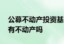 公募不动产投资基金怎样 公募基金投资范围有不动产吗