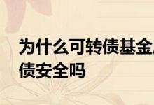 为什么可转债基金风险高 买基金持仓有可转债安全吗