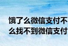 饿了么微信支付不了怎么回事 为啥我在饿了么找不到微信支付