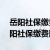 岳阳社保缴费基数2022年是多少 2022年岳阳社保缴费比例一览 