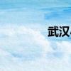 武汉小学（武汉小额贷款）