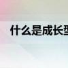 什么是成长型基金净值 什么是成长型基金