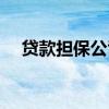 贷款担保公司是真的吗（贷款担保公司）