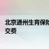 北京通州生育保险缴费如何办理 北京通州生育保险个人如何交费 