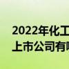 2022年化工化纤板块股票一览化工化纤板块上市公司有哪些