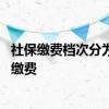 社保缴费档次分为几个档次 灵活就业人员社保缴费怎么网上缴费 