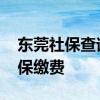 东莞社保查询个人账户查询方法 如何查询社保缴费 
