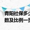 青阳社保多少钱一个月 2022青阳社保缴费基数及比例一览表 