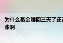 为什么基金赎回三天了还没到账 为什么基金赎回七天还没到账啊