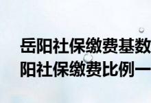 岳阳社保缴费基数2022年是多少 2022年岳阳社保缴费比例一览 