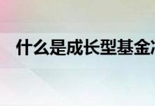 什么是成长型基金净值 什么是成长型基金