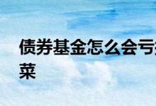 债券基金怎么会亏损 债券基金是否会被割韭菜