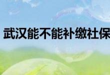 武汉能不能补缴社保 武汉补缴社保怎么办理 