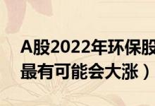 A股2022年环保股票龙头有哪些（哪些股票最有可能会大涨）