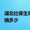 湖北社保生育津贴怎么领取 生育津贴2022报销多少 