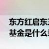 东方红启东三年持有期混合基金 三年持有期基金是什么意思