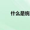 什么是统筹兼顾（什么是统筹基金）