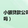 小额贷款公司联盟网（中国小额贷款联盟可靠吗）