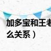 加多宝和王老吉什么价格（加多宝和王老吉什么关系）