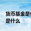 货币基金是什么投资品种 货币基金投资品种是什么
