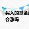 买入的基金涨了份额也涨吗 买基金涨了份额会涨吗