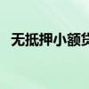 无抵押小额贷款网（上海无抵押小额贷款）