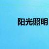 阳光照明（600261）股票预测统计