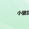 小额贷款套路（小额贷款网）