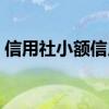 信用社小额信用贷款（信用社小额贷款条件）