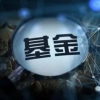 自2021年7月以来我购买了30个MF帮助我整理了我的投资组合