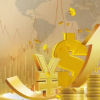灵活上限共同基金新的计划类别投资者应该做什么